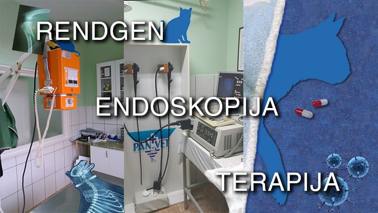 Rendgen - Endoskop