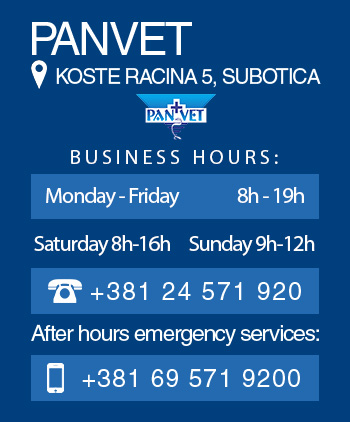 Our bussines hours