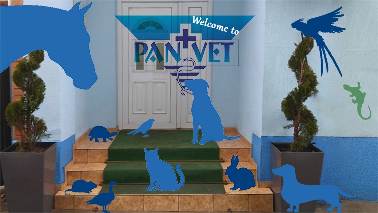 Welcome to Panvet