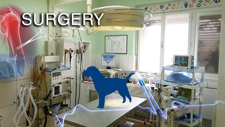 Surgery