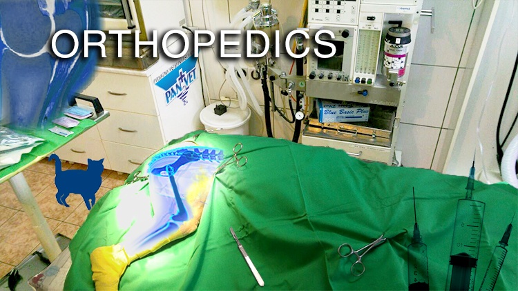 Ortopedics