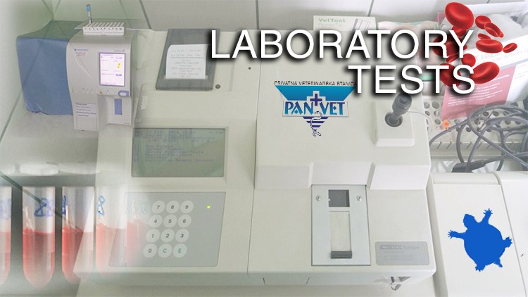 Oncology