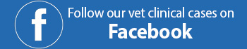 Follow us on Facebook