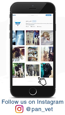 Follow us on Instagram