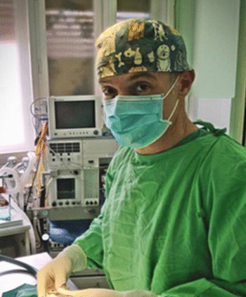 Our vet team